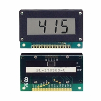 BL-176303-U DPM LCD 5V/20V FLAT PACK