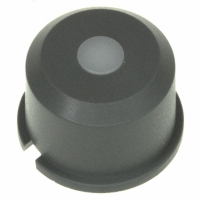 1E036 CAP SWITCH GREY/FROST WHITE LENS
