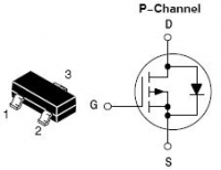 NTR1P02T1 