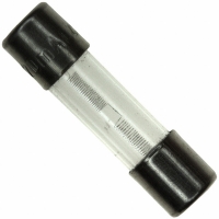 0034.3101 FUSE 20MA 250V 5X20 T-LAG GLASS