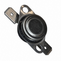 R2002015 THERMOSTAT 20 DEG C NO FASTON