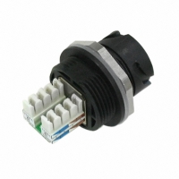 17-10021 CONN RJ45 RCPT W/IDC JACK