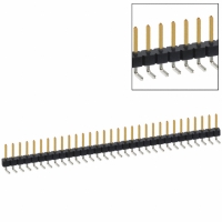 PBC31SBAN CONN HEADER .100 SINGL R/A 31POS