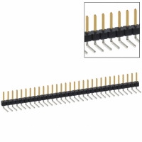 PBC31SBBN CONN HEADER .100 SINGL R/A 31POS