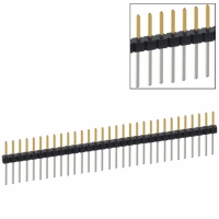 PBC31SADN CONN HEADER .100 SINGL STR 31POS