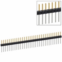 PBC32SACN CONN HEADER .100 SINGL STR 32POS