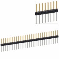 PBC31SFCN CONN HEADER .100 SINGL STR 31POS