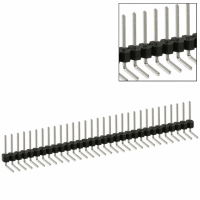 PTC31SGBN CONN HEADER .100 SINGL R/A 31POS