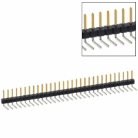 PBC31SBCN CONN HEADER .100 SINGL R/A 31POS