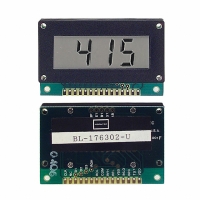 BL-176302-U DPM LCD 5V/2V FLAT PACK