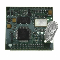 DM2200-434VM 433.92 MHZ, 10 MW MESH MODULE, S