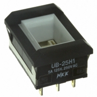 UB25NBKW015D SWITCH PB DPDT RECT AMBER ILLUM