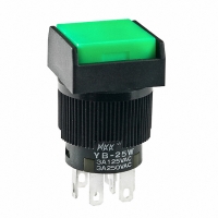 YB25WSKW01-FB SW PB DPDT SQ GRN CAP SLD